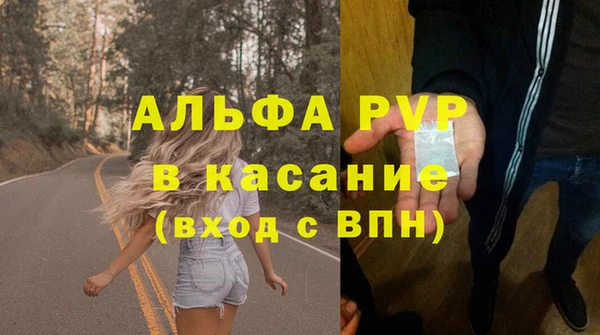 стафф Арсеньев